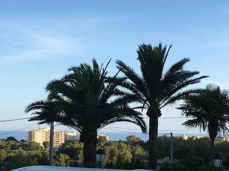 Casa Limon Villa Palma de Mallorca Spanien